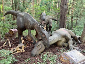 福井県立恐竜博物館に投稿された画像（2024/9/16）