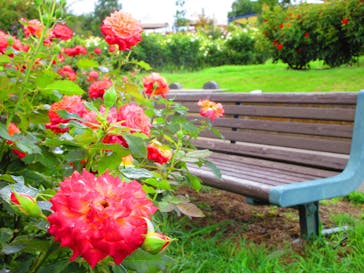 いばらきフラワーパークに投稿された画像（2024/9/16）