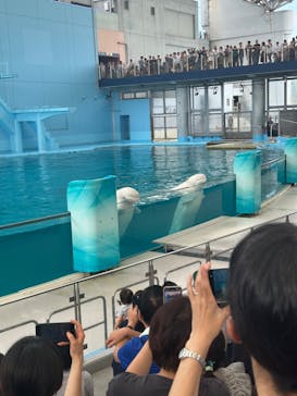 横浜・八景島シーパラダイス　プレジャーランドに投稿された画像（2024/9/16）