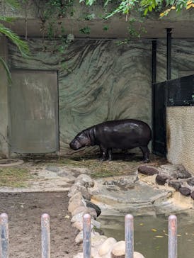 恩賜上野動物園に投稿された画像（2024/9/16）