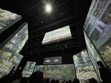 モネ＆フレンズ・アライブに投稿された画像（2024/9/16）