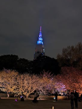 東京メガイルミに投稿された画像（2024/9/16）