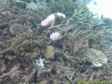 かりゆし石垣島に投稿された画像（2024/9/16）