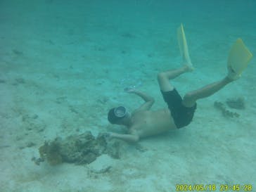 かりゆし石垣島に投稿された画像（2024/9/16）