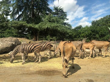群馬サファリパークに投稿された画像（2024/9/16）
