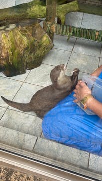 下田海中水族館に投稿された画像（2024/9/16）