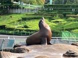 名古屋市東山動植物園に投稿された画像（2024/9/16）