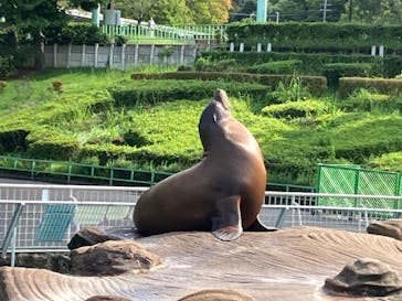 名古屋市東山動植物園に投稿された画像（2024/9/16）