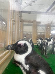 名古屋港水族館に投稿された画像（2024/9/16）