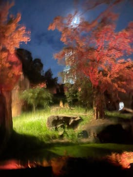 天王寺動物園に投稿された画像（2024/9/16）