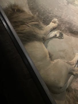 天王寺動物園に投稿された画像（2024/9/16）