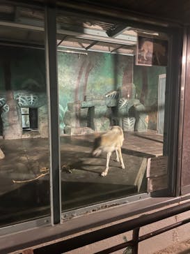 天王寺動物園に投稿された画像（2024/9/16）