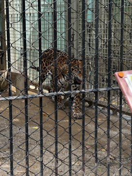 東武動物公園に投稿された画像（2024/9/16）