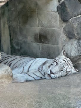 東武動物公園に投稿された画像（2024/9/16）