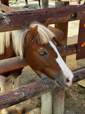 東武動物公園に投稿された画像（2024/9/16）