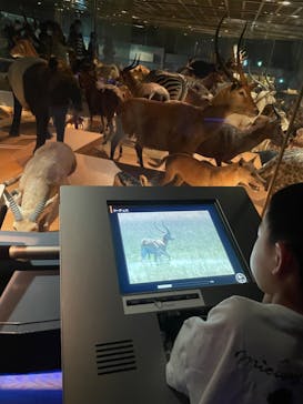 国立科学博物館に投稿された画像（2024/9/16）