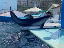 越前松島水族館に投稿された画像（2024/9/16）