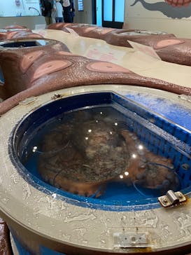 越前松島水族館に投稿された画像（2024/9/16）