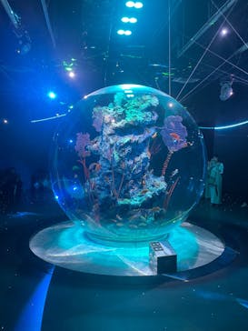 AQUARIUM × ART　atoa×felissimo chocolate museum（フェリシモ チョコレート ミュージアム）に投稿された画像（2024/9/16）