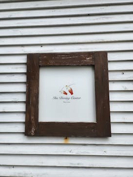 根府川ダイビングサービスに投稿された画像（2024/9/16）