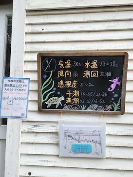 根府川ダイビングサービスに投稿された画像（2024/9/16）