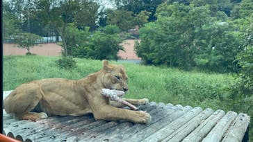 多摩動物公園に投稿された画像（2024/9/16）