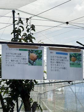びわこもりやまフルーツランドに投稿された画像（2024/9/16）