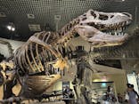 国立科学博物館に投稿された画像（2024/9/16）