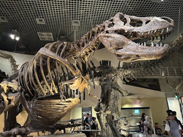 国立科学博物館に投稿された画像（2024/9/16）