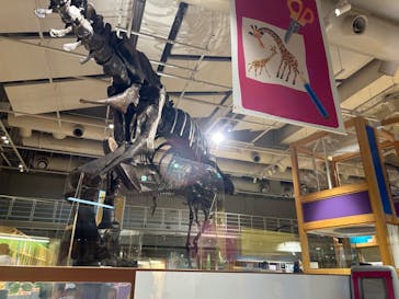 国立科学博物館に投稿された画像（2024/9/16）