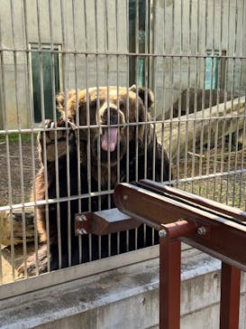 東武動物公園に投稿された画像（2024/9/16）