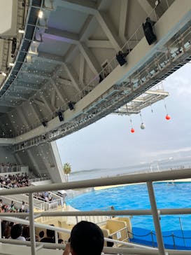 マリンワールド海の中道に投稿された画像（2024/9/16）