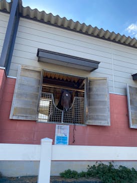 東武動物公園に投稿された画像（2024/9/16）