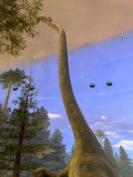 福井県立恐竜博物館に投稿された画像（2024/9/16）