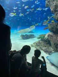 サンシャイン水族館に投稿された画像（2024/9/16）