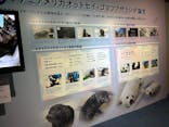 新江ノ島水族館×岩屋に投稿された画像（2024/9/16）