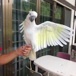 ネオパークオキナワに投稿された画像（2024/9/16）