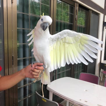 ネオパークオキナワに投稿された画像（2024/9/16）