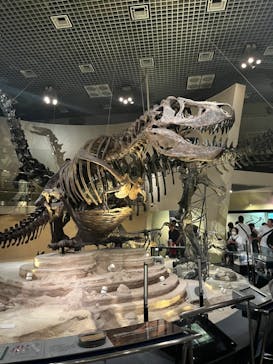 東京タワーに投稿された画像（2024/9/16）