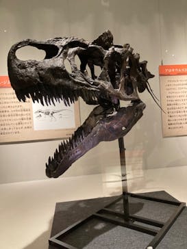 福井県立恐竜博物館に投稿された画像（2024/9/16）