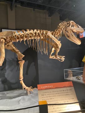 福井県立恐竜博物館に投稿された画像（2024/9/16）