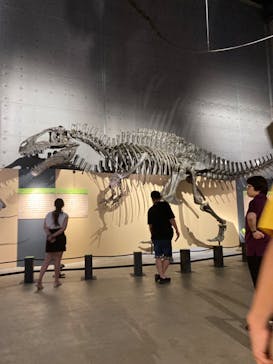福井県立恐竜博物館に投稿された画像（2024/9/16）