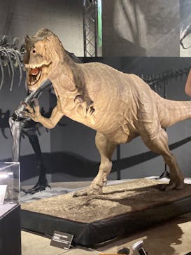 福井県立恐竜博物館に投稿された画像（2024/9/16）