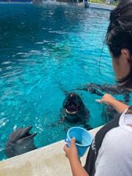 沖縄美ら海水族館に投稿された画像（2024/9/16）