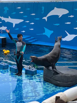 仙台うみの杜水族館に投稿された画像（2024/9/16）
