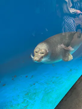 仙台うみの杜水族館に投稿された画像（2024/9/16）