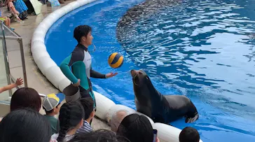 仙台うみの杜水族館に投稿された画像（2024/9/16）