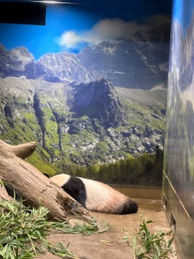 恩賜上野動物園に投稿された画像（2024/9/16）