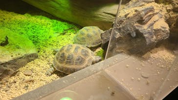 カワスイ 川崎⽔族館に投稿された画像（2024/9/16）