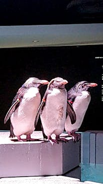 AOAO SAPPOROに投稿された画像（2024/9/16）